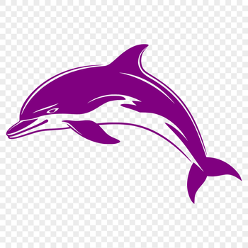 A detailed illustration of a dolphin's full body, created as vector art.