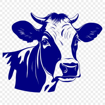 A detailed illustration of a cow's head, suitable for vector design and commercial or personal use.