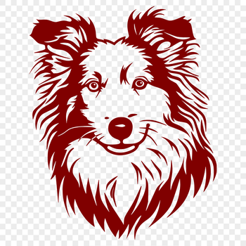 A portrait illustration of a Shetland sheepdog's head with intricate details.