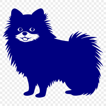 A full-body illustration of a standing Pomeranian dog with details suitable for vector design.