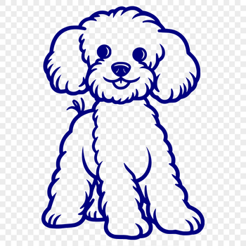 An illustration of a sitting poodle in a simple line drawing style.