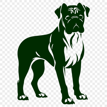 A full-body illustration of a standing Boxer dog.