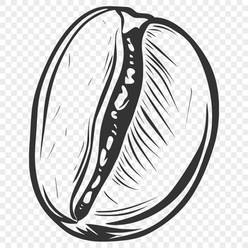 Illustrative coffee bean icon in vector format, suitable for digital designs and crafts.