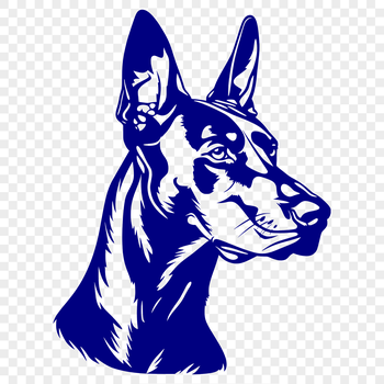 A high-quality illustration of a Doberman Pinscher's head, suitable for vector art and commercial or personal use.