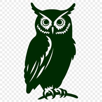 Stunning Perched Owl DXF