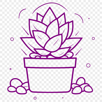 A succulent plant with thick, fleshy leaves and stems growing in a desert environment.