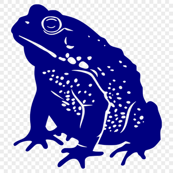 A detailed illustration of a toad's full body, rendered as an editable vector graphic.