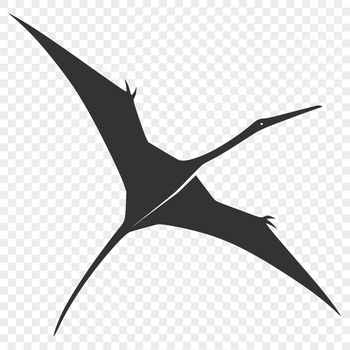 A detailed illustration of a Pteranodon in mid-flight.