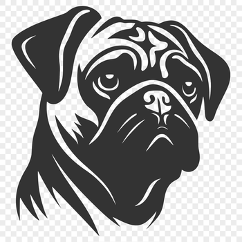 A small, adorable dog with a flat face and short snout, suitable for personal or commercial use as vector art.