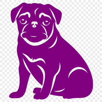 Vector illustration of a pug sitting on its haunches, suitable for digital use.