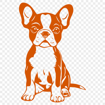 A vector art depiction of a cute, sitting animal, specifically a Boston Terrier.