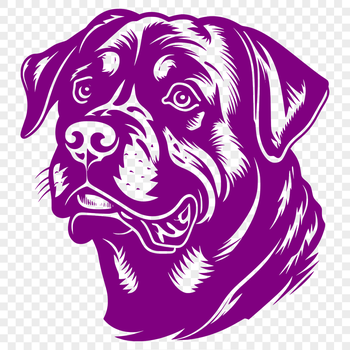 A detailed illustration of a Rottweiler's head from various angles, useful for vector art designs.