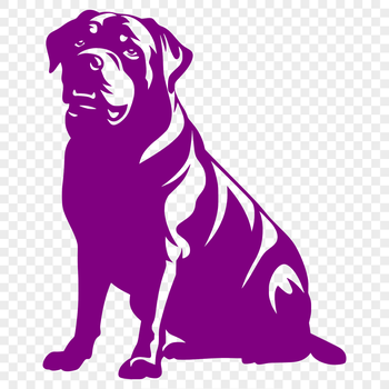 A realistic illustration of a Rottweiler sitting on its haunches.