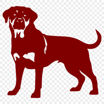 A full-body illustration of a rottweiler dog standing on all fours.