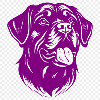 Close-up portrait of a Rottweiler's head, featuring distinctive black and tan markings.