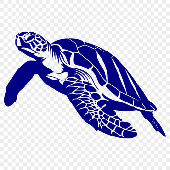 A detailed illustration of a sea turtle's full body, suitable for various digital design applications.