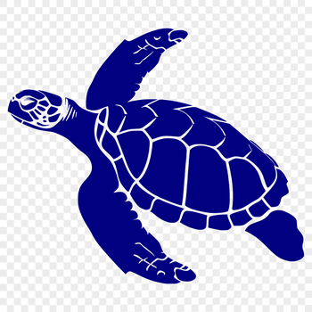 A full-body illustration of a sea turtle in a seaside setting, designed as vector art.