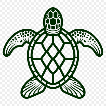 A digital illustration of a full-body sea turtle, suitable for vector design.
