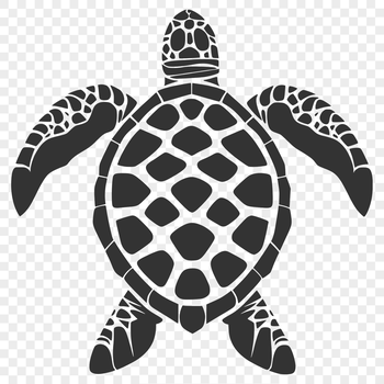 A high-quality vector graphic of a sea creature commonly found in seaside environments, depicted from head to tail.