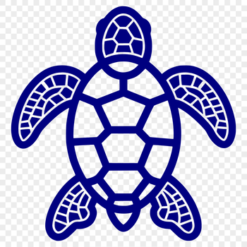 A full-body illustration of a sea turtle in a realistic style, suitable for vector art and design projects.