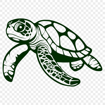 A detailed illustration of a sea turtle in full body pose, suitable for vector designs.