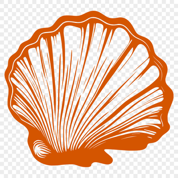 A stylized illustration of a seashell, suitable for vector art projects.