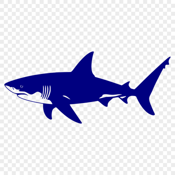 A stylized illustration of a shark, suitable for use in various digital formats including SVG, PNG, and PDF.