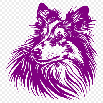 A vector illustration of a Shetland Sheepdog's head, suitable for digital design projects.