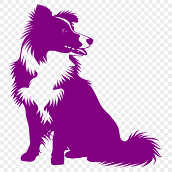 A detailed vector illustration of a Shetland sheepdog in full body sitting position.