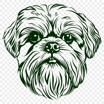 A cartoon representation of a Shih Tzu's head, suitable for use in digital designs.