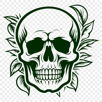 A gothic-inspired illustration of a witch's skull surrounded by mystical symbols.