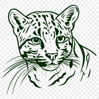 A large cat species native to the Americas, shown from a side perspective with its distinctive facial features.