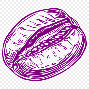 An illustration of a single coffee bean in a simple shape.