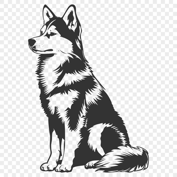 A realistic illustration of a Siberian Husky in full body pose, suitable for digital designs.