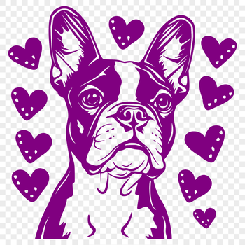 A cute Boston Terrier dog with heart-shaped decorations on its head.