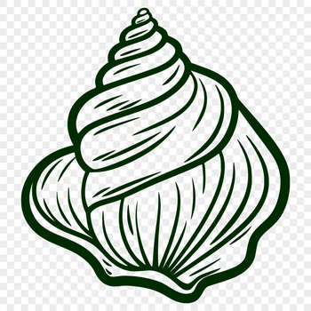 A seashell illustration featuring intricate details, suitable for vector design and cutting machine projects.