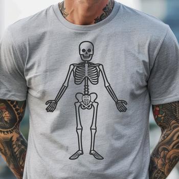 A full-body skeleton standing upright in a realistic pose.