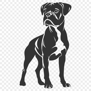 A full-body illustration of a dog breed known as the Boxer in a standing position.