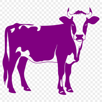 An illustrated cow with its full body shown, suitable for farm or agricultural themes.