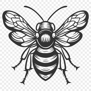 A detailed illustration of a bee, featuring its full body and intricate details.