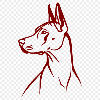 A simple line drawing of a Doberman Pinscher's head, suitable for vector design.