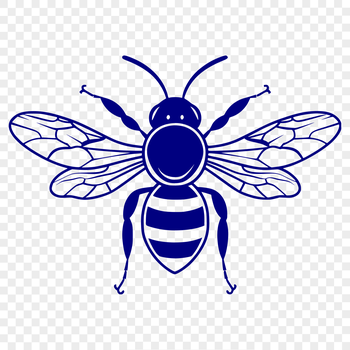 A detailed illustration of a bee's full body, suitable for vector art and graphic design projects.