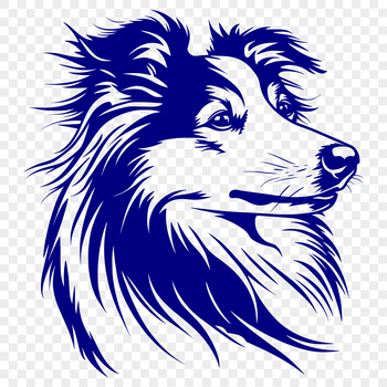 A detailed illustration of a Shetland sheepdog's head with a focus on its facial features.
