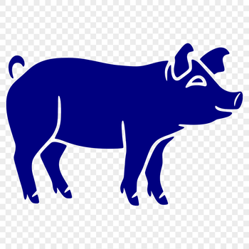 A standing pig with its full body visible, suitable for use in various design projects.