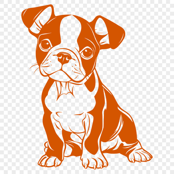 Full body illustration of a cute Boston Terrier sitting.