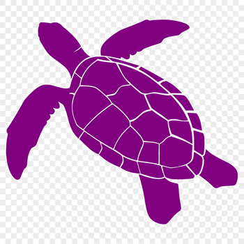 Full-body illustration of a sea turtle, depicted as a vector image suitable for digital and offline applications.