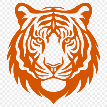 A detailed illustration of a tiger's head from a variety of angles, suitable for vector art and graphic design.