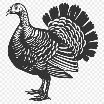 An SVG vector design featuring a turkey, suitable for various applications including crafting and graphic design projects.