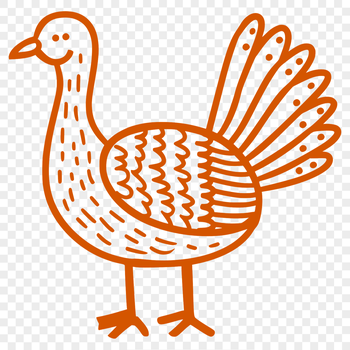 A full-body illustration of a domesticated bird commonly raised on farms.