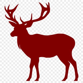 A simple outline silhouette of a deer in vector format.